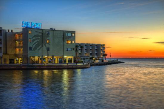 410-Gorgeous Views, Waterfront, Wifi, Pool And Close To Bucs Stadium Tampa Extérieur photo