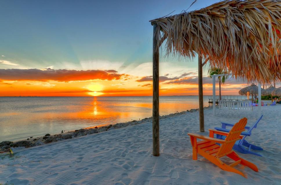410-Gorgeous Views, Waterfront, Wifi, Pool And Close To Bucs Stadium Tampa Extérieur photo